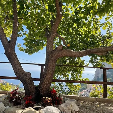 Casa Enzo Con Vista Mare Διαμέρισμα